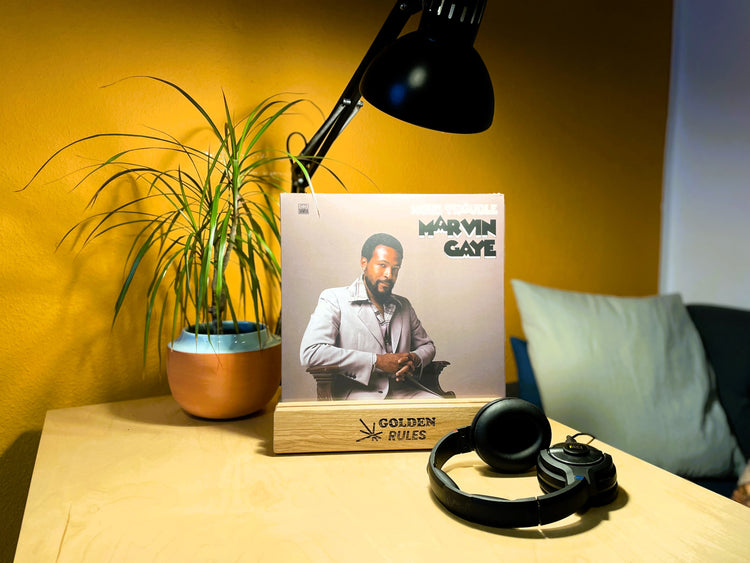Marvin Gaye - More Trouble (LP)