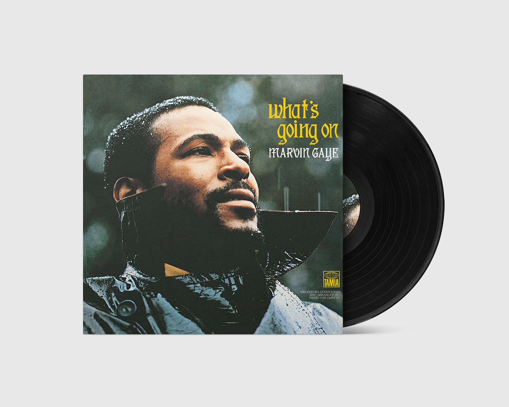 Marvin Gaye - What's Going on (LP) – Golden Rules Shop